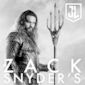 Poster 17 Zack Snyder's Justice League