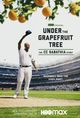 Film - Under the Grapefruit Tree: The CC Sabathia Story