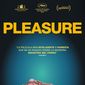 Poster 5 Pleasure