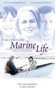 Film - Marine Life