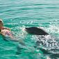 Dolphin Island/Insula delfinilor
