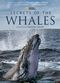 Film Secrets of the Whales