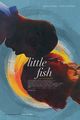 Film - Little Fish