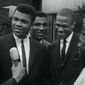Blood Brothers: Malcolm X & Muhammad Ali/Frați de sânge: Malcolm X și Muhammad Ali
