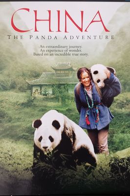 China: The Panda Adventure poster