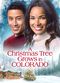 Film A Christmas Tree Grows in Colorado