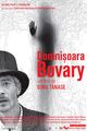 Film - Domnișoara Bovary