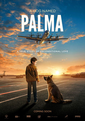 Palma poster