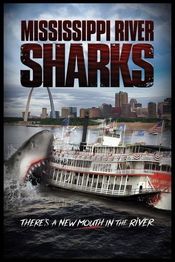 Poster Mississippi River Sharks