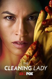 Poster The Cleaning Lady