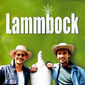 Poster 2 Lammbock