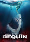 Film The Requin