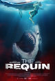 Film - The Requin