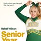 Poster 3 Senior Year