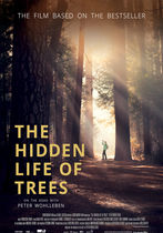 Viața ascunsă a copacilor