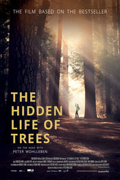 Poster Das geheime Leben der Bäume