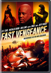 Poster Fast Vengeance