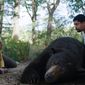 Cocaine Bear/Ursul narcoman