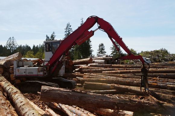 Big Timber