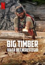 Big Timber: Viață de cherestegiu