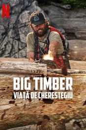 Poster Big Timber