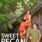 Poster 2 Sweet Pecan Summer