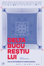 Poster Delta Bucureștiului