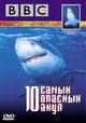 Film - 10 Deadliest Sharks