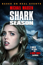 Poster Shark Season