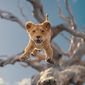 Mufasa: The Lion King/Mufasa: Regele Leu