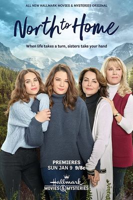 North to Home poster