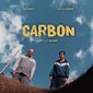 Poster 1 Carbon