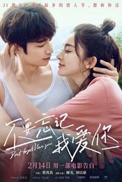 Poster Bu yao wang ji wo ai ni