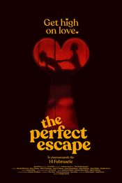 Poster The Perfect Escape