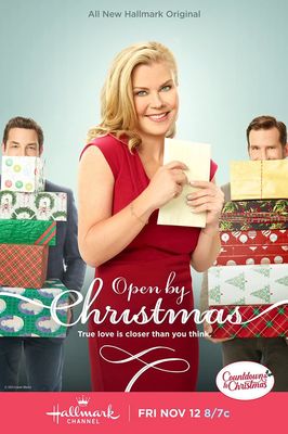 Open by Christmas poster
