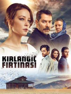 Kirlangiç Firtinasi poster