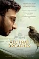 Film - All That Breathes