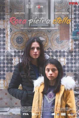 Rosa pietra stella poster