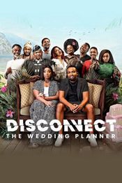 Poster Disconnect: The Wedding Planner