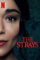 Film - The Strays
