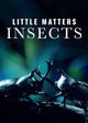 Film - Little Matters: Insects