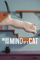 Film - Inside the Mind of a Cat