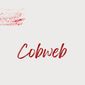 Poster 5 Cobweb
