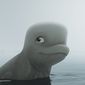 Foto 15 Katak: The Brave Beluga