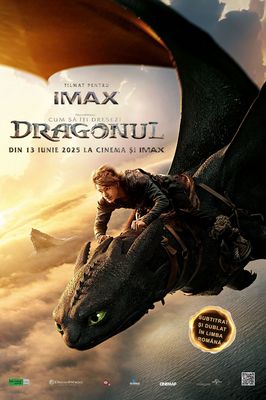 How to Train Your Dragon poster