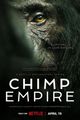Film - Chimp Empire
