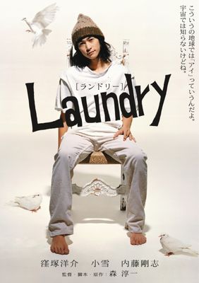 Laundry poster