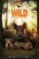 Film - Wild