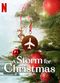 Film A Storm for Christmas