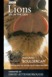 Poster Lions: Spy in the Den